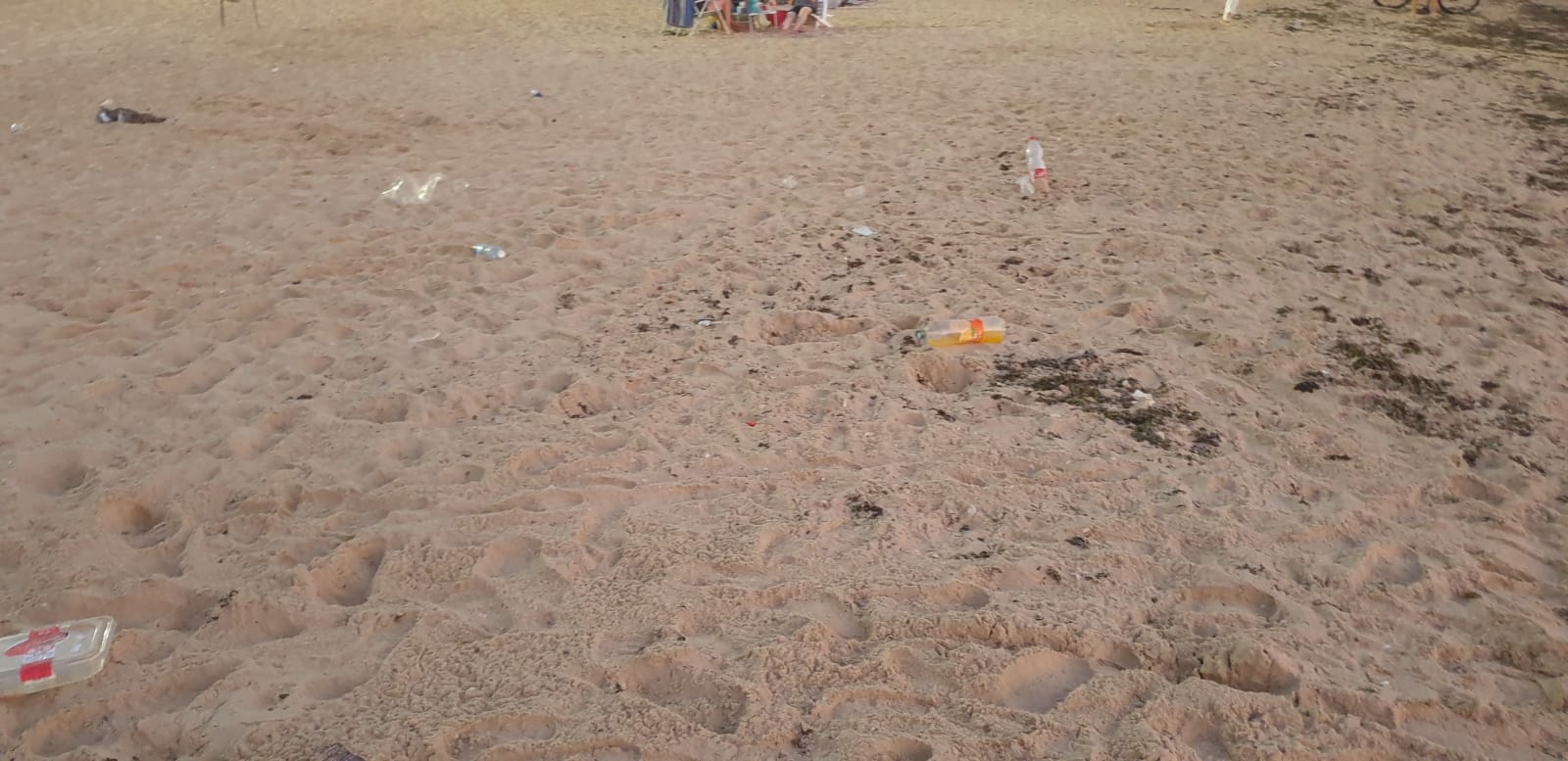 WhatsApp Image 2020-08-03 at 7.58.26 PM.jpeg.jpeg